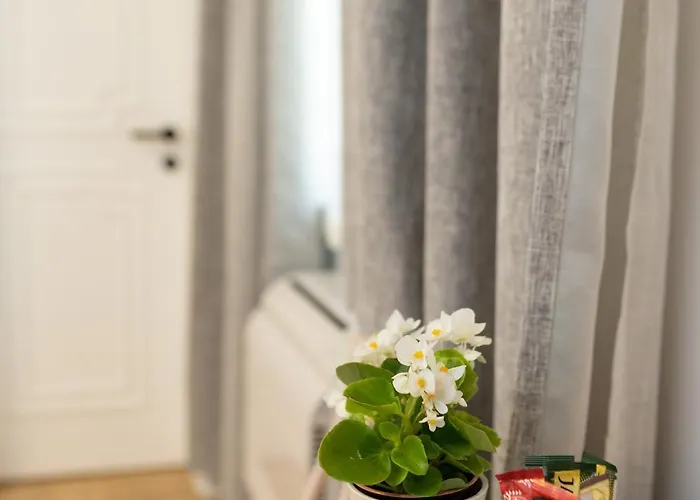 Luxury 12-2 4* 普罗夫迪夫